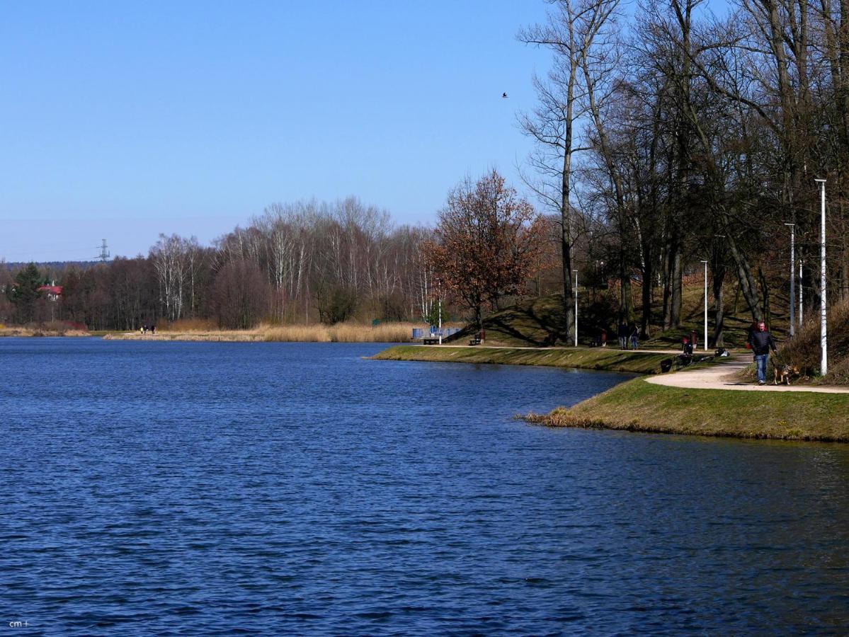 Family & Business Sauna Apartments Klonowa Nad Zalewem, Unikat Spa Kielce Eksteriør billede